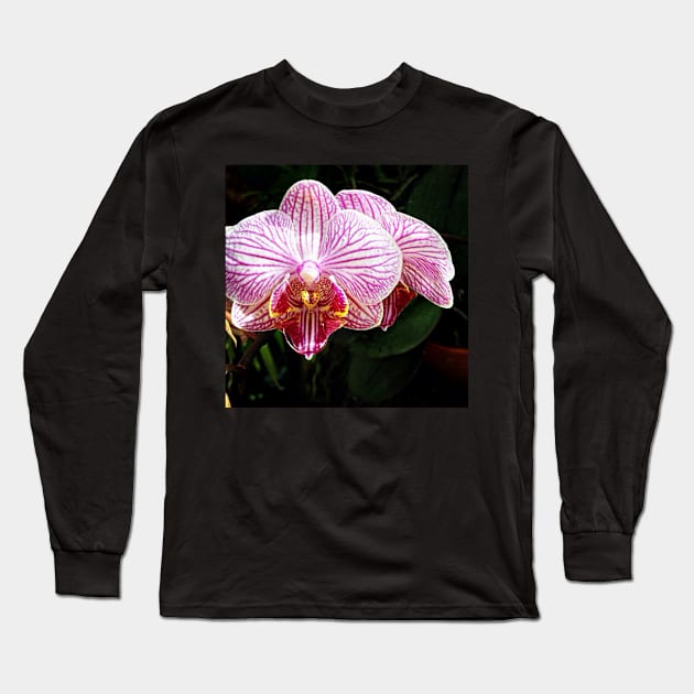 Orchid Love Long Sleeve T-Shirt by exentric-wren